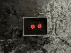 Juvenile Flower Earring